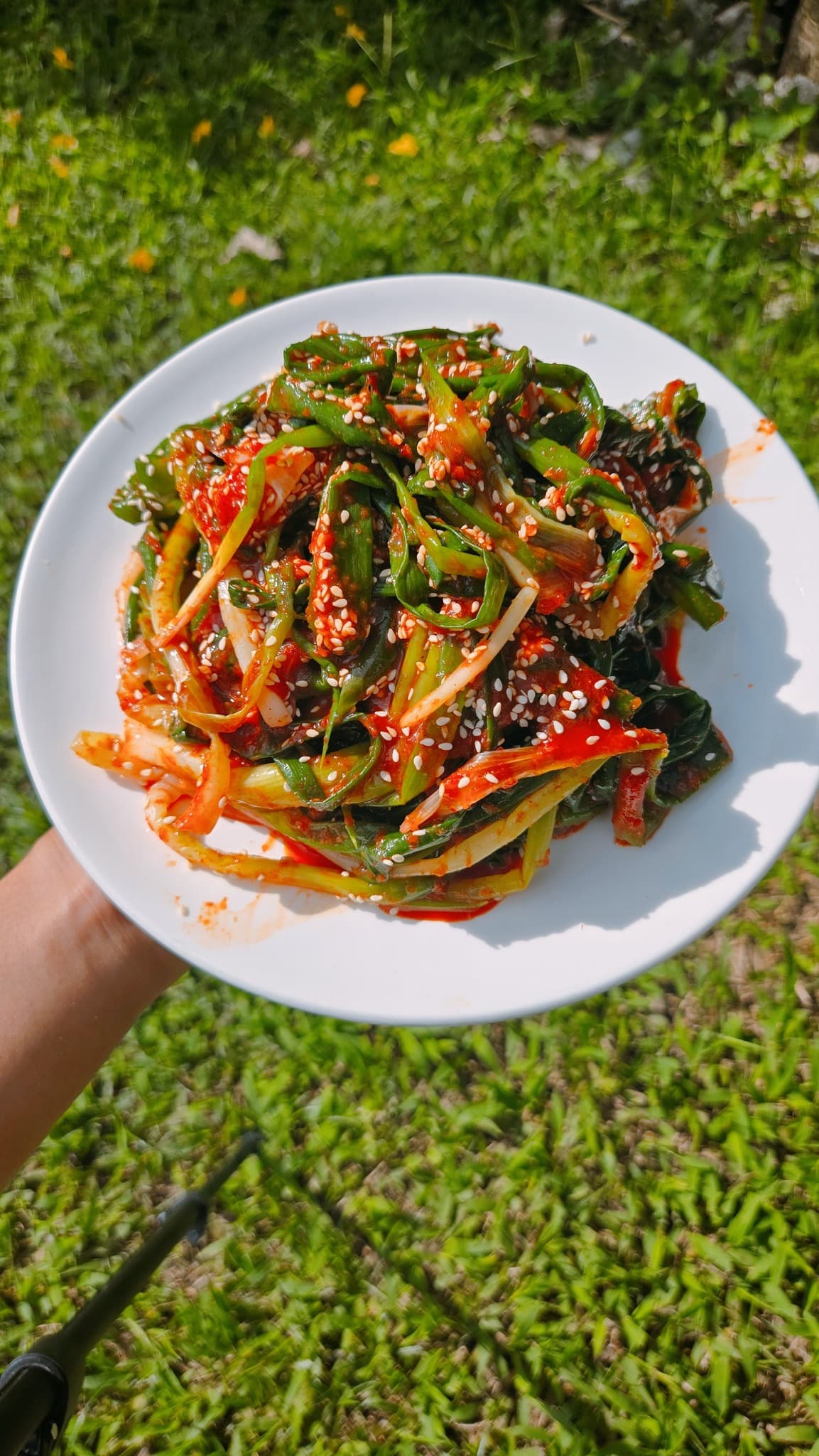 กิมจิ ต้นหอม